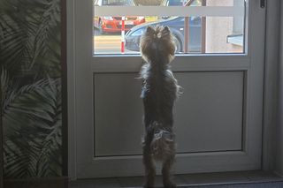 Pani Izabela Jankowska to stylistka paznokci z Torunia