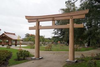 Ogród japoński w Parku Oliwskim jeszcze bardziej japoński