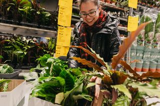 W Lesznie odbędzie się Festiwal Roślin 
