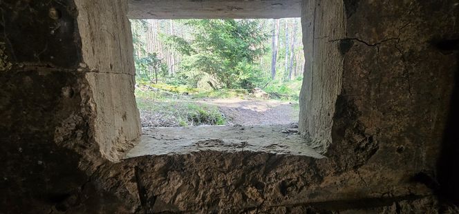Odwiedziłam jeden z piękniejszych powiatów na Mazurach. To prawdziwy „szlak bunkrowy”