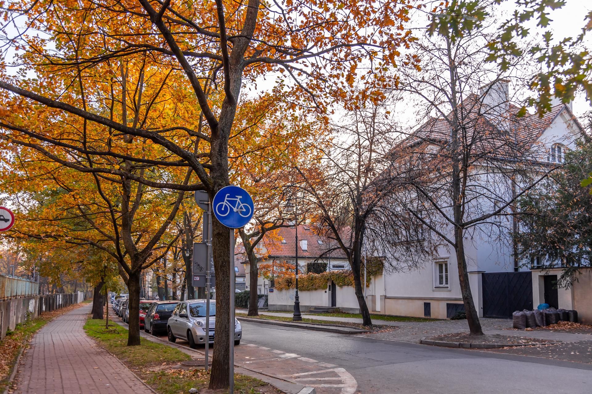 Kolonia profesorska w Warszawie
