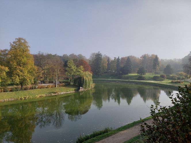 Zamojski Park jesienią