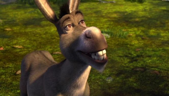 Jerzy Stuhr - mija rok od śmierci aktora