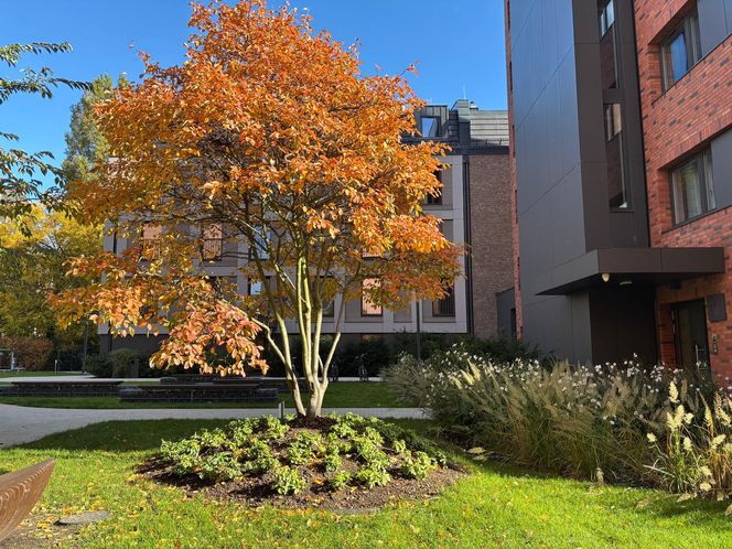 Osiedle Riverview w Gdańsku