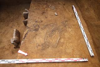 Niezwykłe znalezisko na budowie S19 „Via Carpthia”. Archeologowie pracują na miejscu 