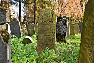 SKANDAL w Oświęcimiu. NAZISTOWSKIE SYMBOLE na żydowskim cmentarzu. Mocna reakcja