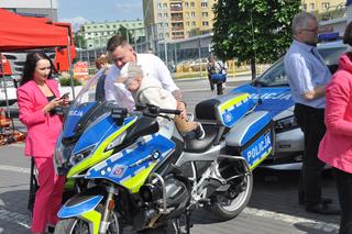 Festyn Kielce dla Ciebie obok dworca autobusowego