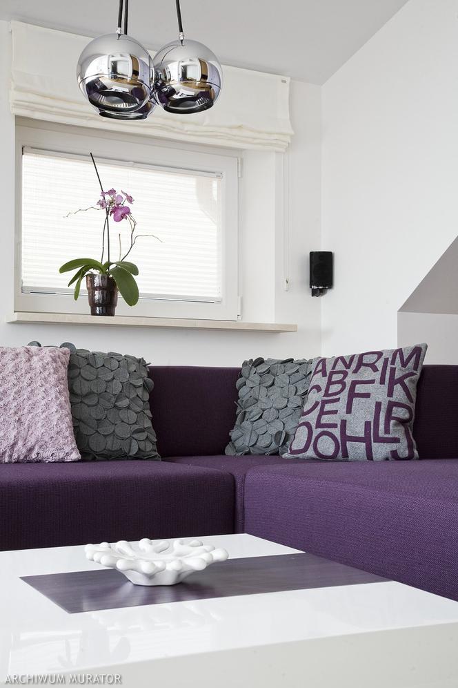 salon z fioletowa kanapą