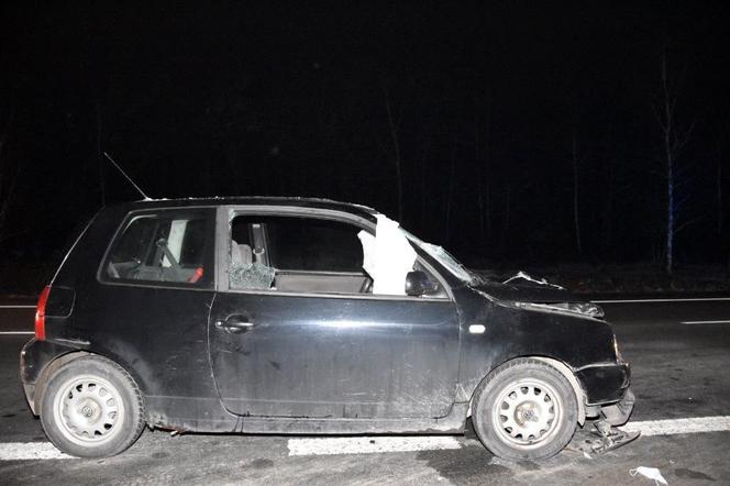 WYPADEK w Pogórskiej Woli. ZGINĘŁA potrącona kobieta. Przechodziła w miejscu niedozwolonym