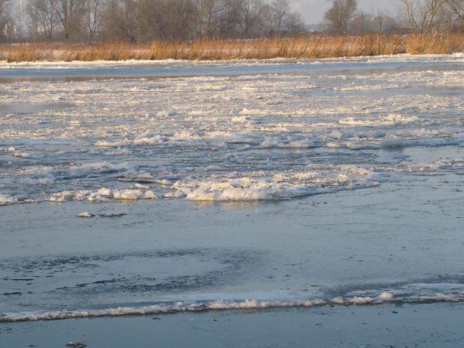 Lodołamacze wyruszają na Odrę