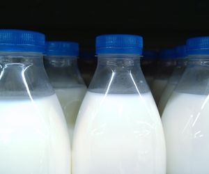Dba o serce, trawienie i zdrowe kości. To mleko lepsze od krowiego