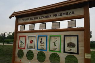 Plaża miejska w Będzinie