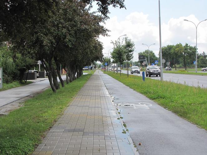 Gdzie na rolki w Rzeszowie?