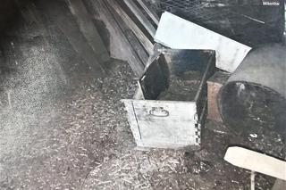 Mieszkaniec Łazisk Górnych zaniedbał psa