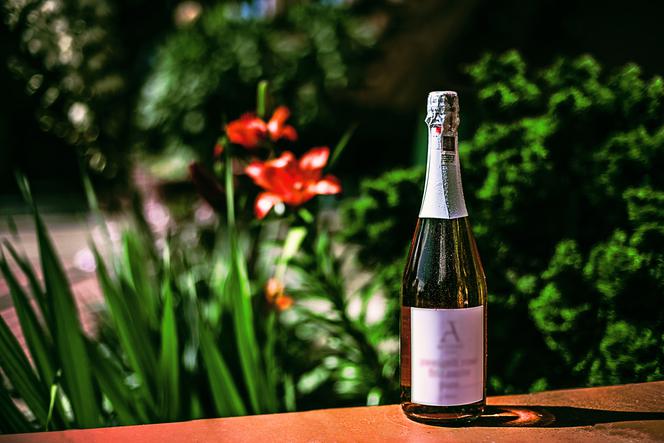 Jakie wina najlepiej smakują w ciepłe dni? Które szczepy wybierać?