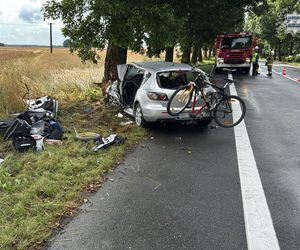 Czarny alert na Śląsku. Mazda roztrzaskała się na drzewie. Nie żyje kierowca