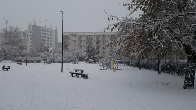 Zima w Bydgoszczy