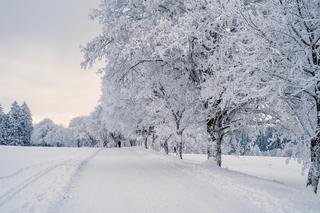 Na Lubelszczyźnie może spaść nawet 20 cm śniegu! IMGW wydał ostrzeżenie I stopnia przed intensywnymi opadami