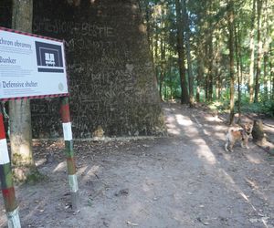 Bunkry na Mazurach wybudowane dla żołnierzy Wehrmachtu. To tu miała być ukryta Bursztynowa Komnata [ZDJĘCIA]