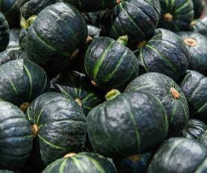 Naukowcy stworzyli warzywo przyszłości. Mini dynia o smaku cukinii i ogórka