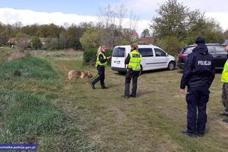Trwają poszukiwania 3,5-letniego Kacperka