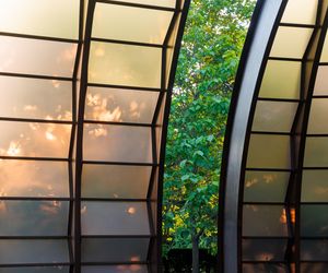 Serpentine 2025. Marina Tabassum Architects (MTA)
