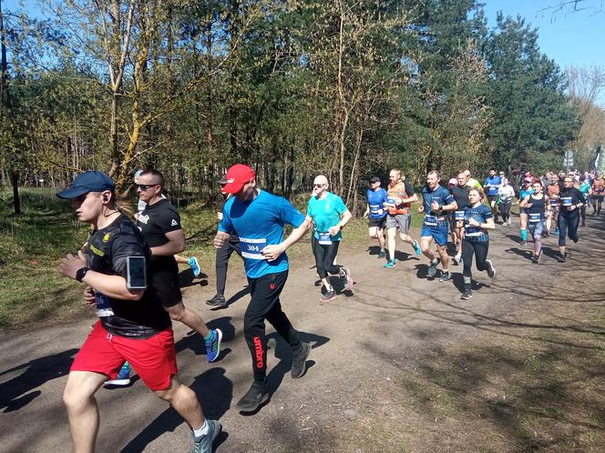 II edycja Bronek Run Forest Edition w Grudziądzu