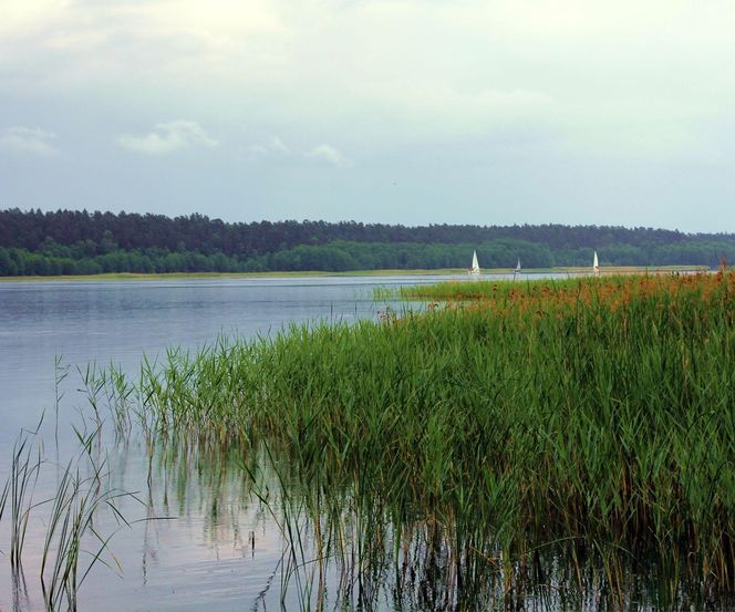 To jezioro na Mazurach jest niemal nietknięte przez człowieka. Nie wolno tam nawet krzyczeć