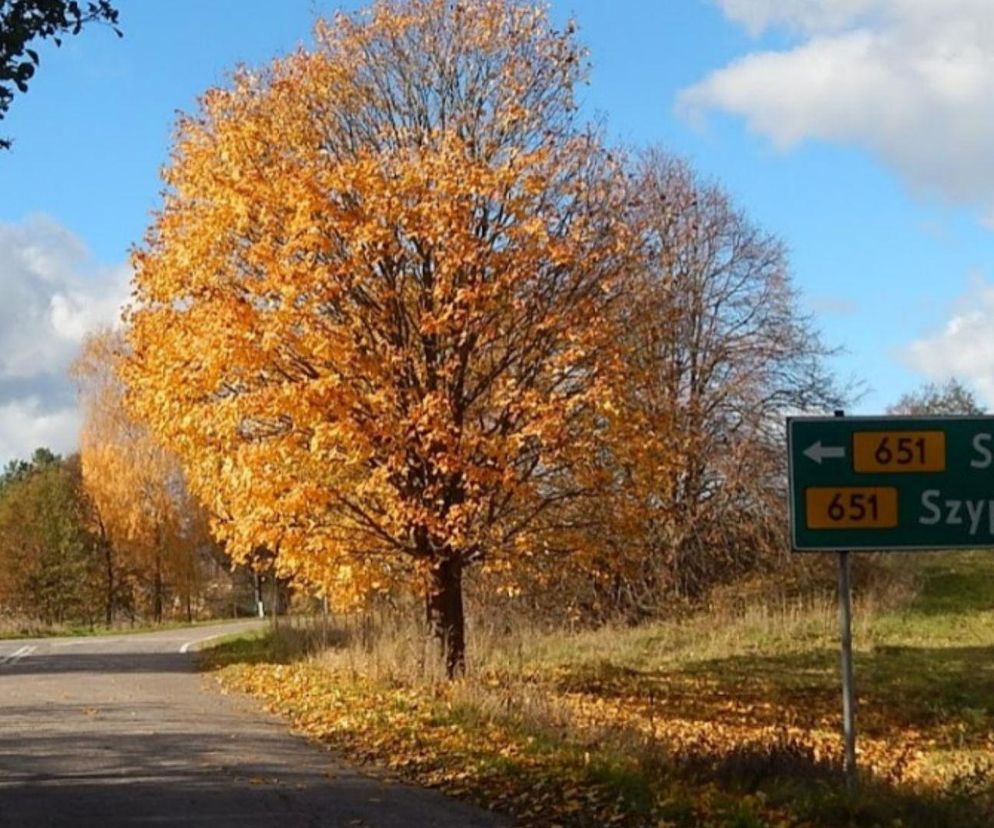 O tym miejscu na Podlasiu słyszano już w XVIII wieku! Dziś skojarzą ją tylko fani tej gry