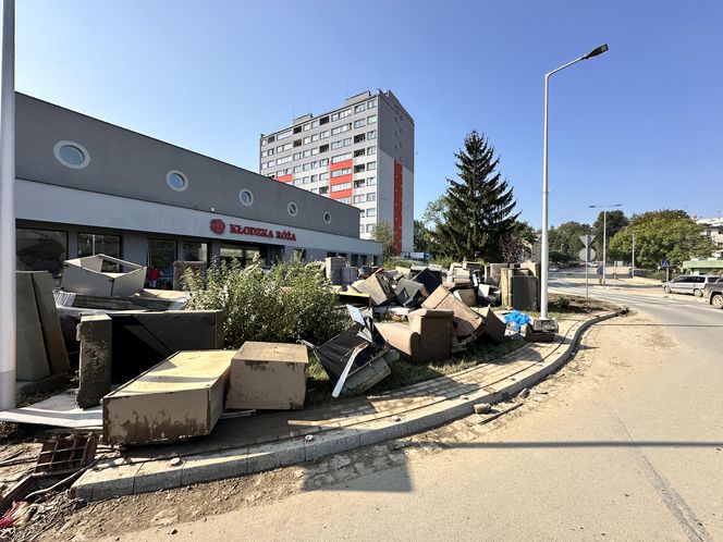 Kłodzko sprząta po powodzi (19.09.2024)