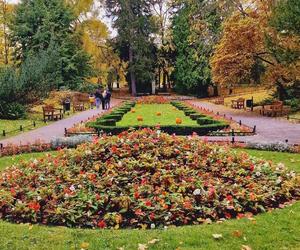 Gdańsk jesienią. Te widoki zapamiętacie na długo. Spójrzcie tylko na te zdjęcia!