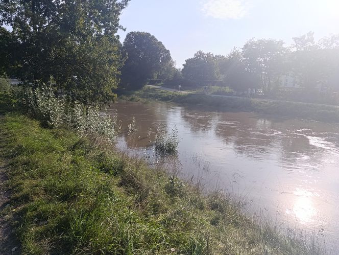 Stan rzeki Ślęza cały czas się podnosi. Przekroczono już stan alarmowy. Jak wygląda sytuacja?