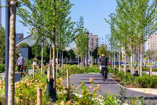 Zielona ul. Kondratowicza w Warszawie ma szansę nagrodę Green Cities Europe Award 2023. Zmieniła się w tzw. aleję tysiąca drzew