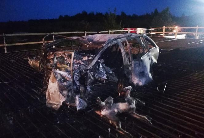 Spłonął w aucie z psem