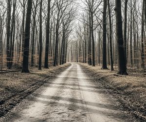 Niewybuch we Wrocławiu. Co odkryto przy największym cmentarzu?