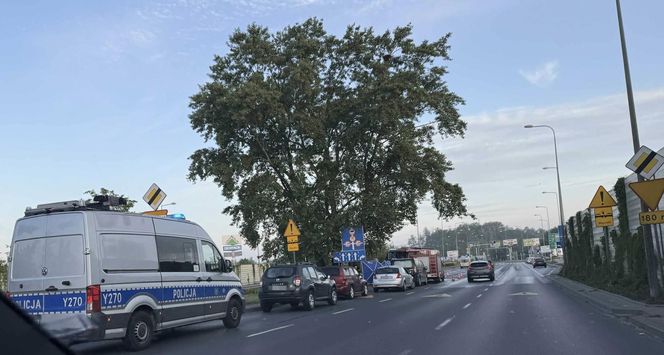 Potworny wypadek w Płocku. Wypadli z drogi, uderzyli w drzewo. Dwoje ludzi spłonęło w samochodzie	