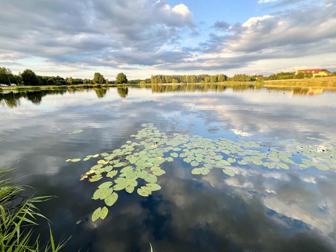 Szukacie ciszy i spokoju nad wodą? Zalew Umer to świętokrzyska oaza