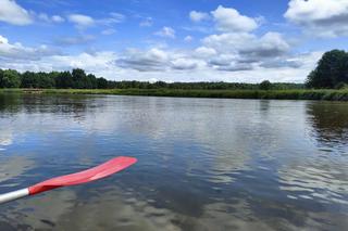 To idealna rzeka dla kajakarzy z woj. łódzkiego. Zobacz, jak wyglądają spływy Pilicą [ZDJĘCIA]