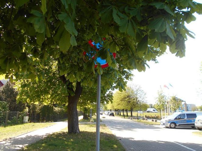 Wejherowo: Znaków nie widać, sypią się mandaty. Straż miejska interweniuje w urzędzie [ZDJĘCIA]