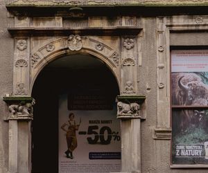 Renesansowy portal w bloku w Świdnicy