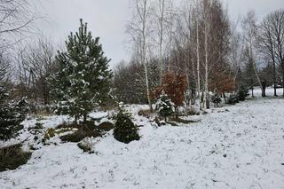 Zima przyszła na Podkarpacie w listopadzie