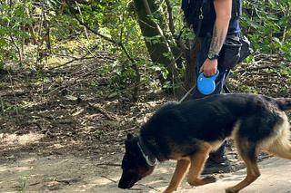 Atak nożownika w Parku Bródnowskim