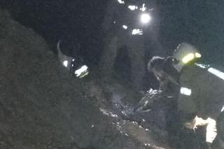 Turysta spacerował po klifie, nagle osunęła się ziemia. Dramatyczna akcja służb