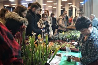 Mikołajkowe Targi Terrarystyczne Wild Animal Expo 2022 w Bydgoszczy [ZDJĘCIA]