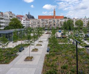 Tak wygląda plac Nowy Targ we Wrocławiu. Prace są już na ostatniej prostej