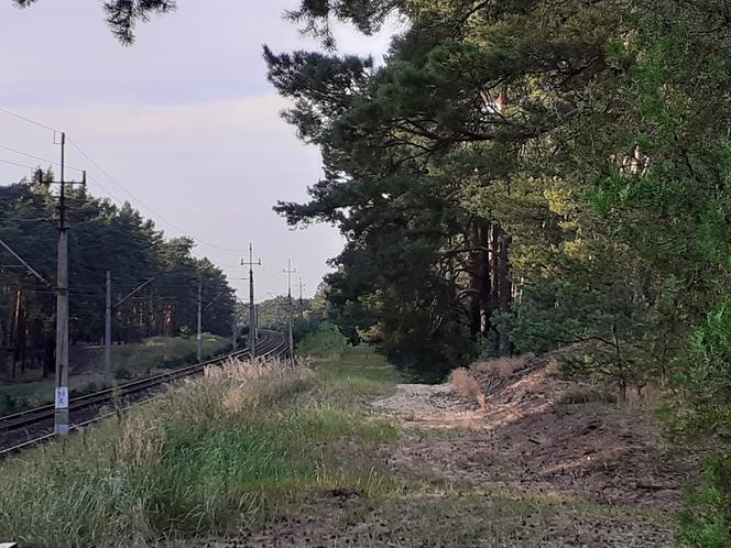 Brzoza Toruńska 40 lat po katastrofie kolejowej