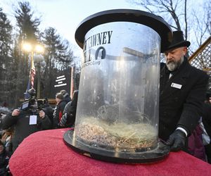 Świstak przepowiedział sześć tygodni zimy