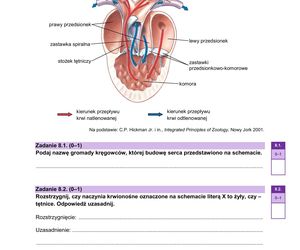 Matura 2025 - biologia