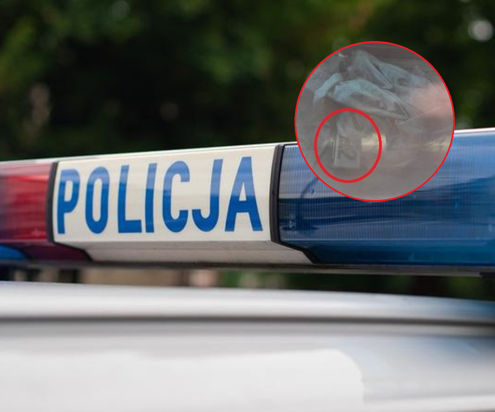 Funkcjonariusze odzyskali skradzionego busa w Słubicach