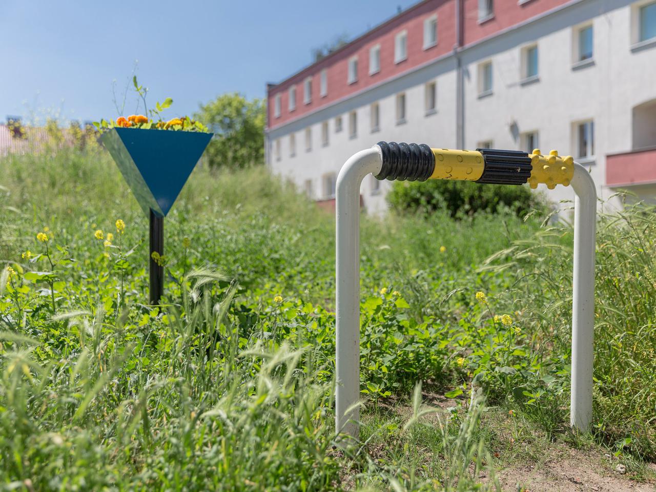 Instalacja zamiast dzikiego parkingu? W Gdyni walczą z drogowym problemem 